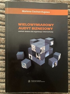 Wielowymiarowy audyt biznesowy Ciechan-Kujawa