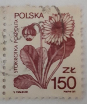 Znaczek stemplowany Stokrotka Pospolita, 1989 rok