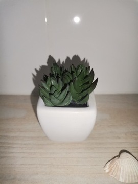 Roślina stuczna Succulent w donicy 8 cm, NOWY