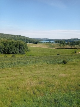 Prezent na dzień chłopaka