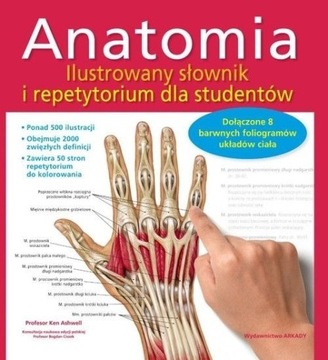 Anatomia Ilustrowany słownik i repetytorium UNIKAT