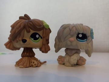 Littlest pet shop pies pasterski + dodatek 