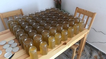 Miód pszczeli wiosenny naturalny słoik 500 gram