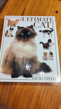 The ultimate cat book- album stan idealny