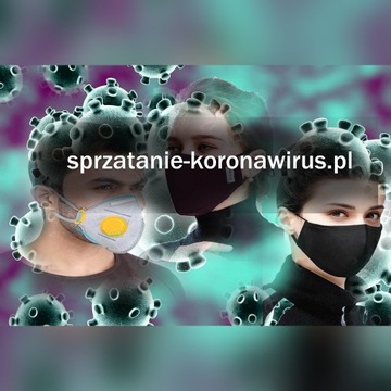 strona www domena sprzatanie-koronawirus.pl