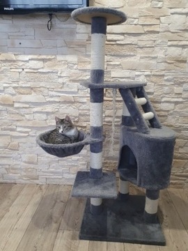 Drapak dla kota wielofunkcyjna kocia wieża szara