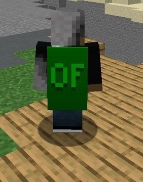 MINECRAFT PELERYNKA OPTIFNE