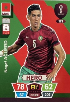 WORLD CUP QATAR 2022 AQUERD HERO 173