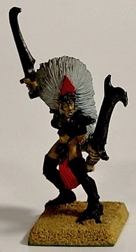 Warhammer Dark Elves - Witch Elves 13