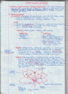 NOTATKI MATURALNE Z BIOLOGII cz.2 -4-letnie liceum