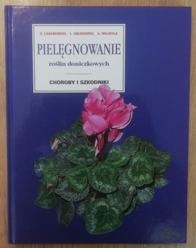 Pielęgnowanie roślin doniczkowych Łabanowski