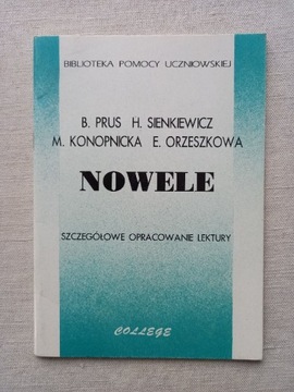 Książka NOWELE opracowanie 