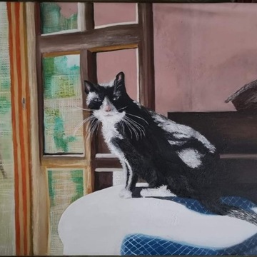 Kot w oknie-obraz olejny 50/60 cm 
