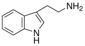 tryptamina    50g