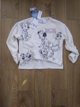 Bluza Sweterek Zara z Dalmatyńczykami 152 11-12lat