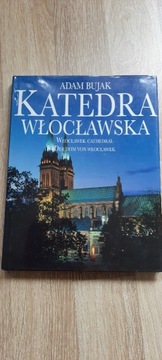 Adam Bujak, Katedra Włocławska