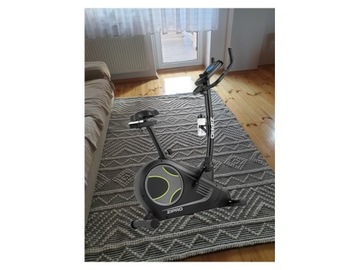 Rower treningowy magnetyczny pionowy Zipro Flame