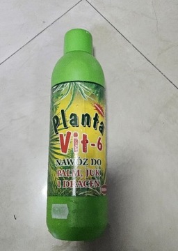 Nawóz do palm juk dracen 1l 