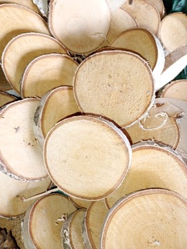 Plastry brzozy drewna krążki ok 7-8cm bez szlifu