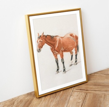 Plakat A3 Fanny - Obraz koń wydruk Tayler#2