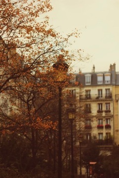 Fotografia z Paryża : Jesień w Paryżu