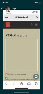 Tikkurila farba do wnętrz kolor V459 Olive Grove