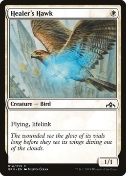 2x Healer's Hawk (GRN) M/NM