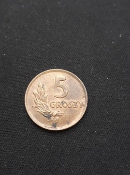 5 gr groszy 1949 brąz