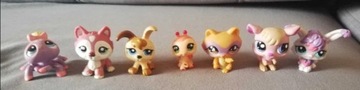 littlest pet shop i inne