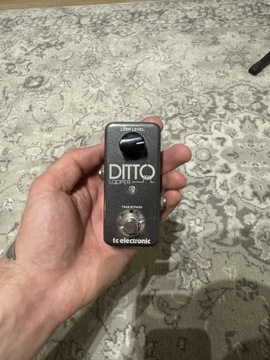Efekt Gitarowy TC Electronic Ditto Looper
