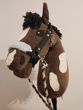 Konik Hobby Horse 