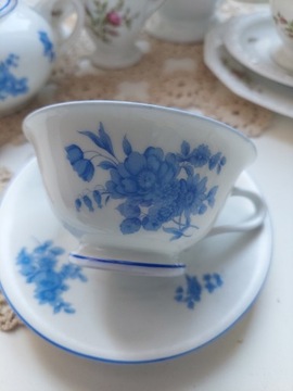 Rosenthal filiżanka ze spodkiem porcelana kwiaty 