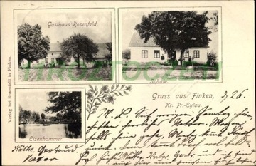 ZIĘBY Finken k. Bartoszyce 1905