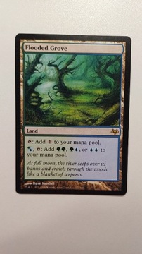Flooded Grove (Eventide)