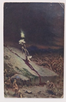 W. Kotarbiński ok.1910r. Mogiła Samobójcy kwiat