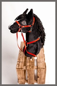 Hobby Horse Luna model A4 Fryzyjski