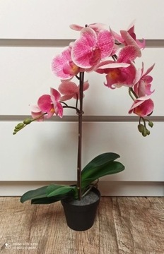 IKEA fejka orchidea storczyk jak prawdziwy duży 56
