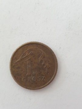 Moneta 1 grosz z 1992 roku 