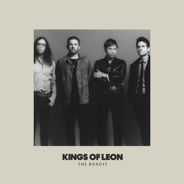 Bilety na Kings of Leon 2 sztuki płyta GA 21.06