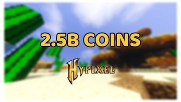 Hypixel Skyblock Coins - 2.5B