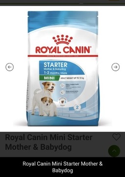 Royal Canin Starter Mini 