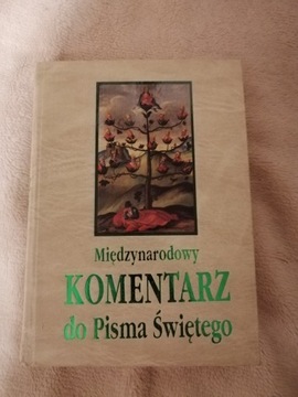 MIĘDZYNARODOWY KOMEMNTARZ DO PISMA ŚWIĘTEGO