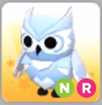 Roblox Adopt Me Snow Owl NR