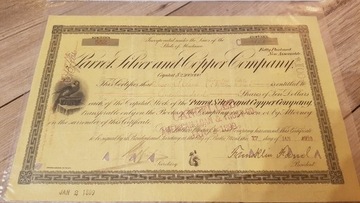 Kopalnia miedzi i srebra Parrot 1898 rok $1000