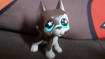 + GRATISY Lps dog niemiecki littlest pet shop pop