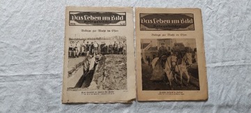 Das Leben Im Bild (nr 11,15) 1916 - gazety pruskie