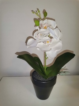 Storczyk, Orchidea biały stuczny 31cm, Nowe