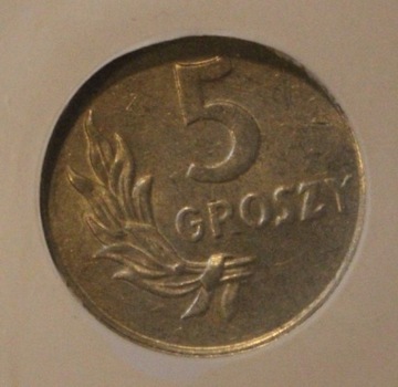 5 GR GROSZY 1949 GCN AU50  SKRĘTKA  OK. 340 STOPNI