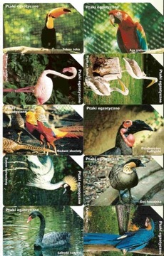 Ptaki egzotyczne - komplet 10 kart