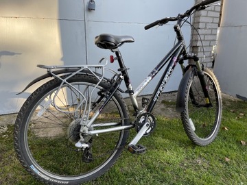 Trek 3900 